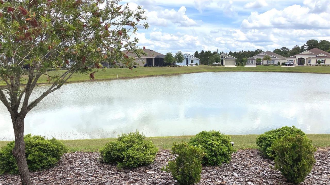 8492 Hartford Way , Mount Dora, FL 32757 Photo