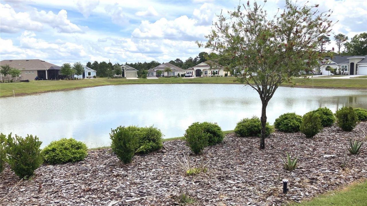 8492 Hartford Way , Mount Dora, FL 32757 Photo