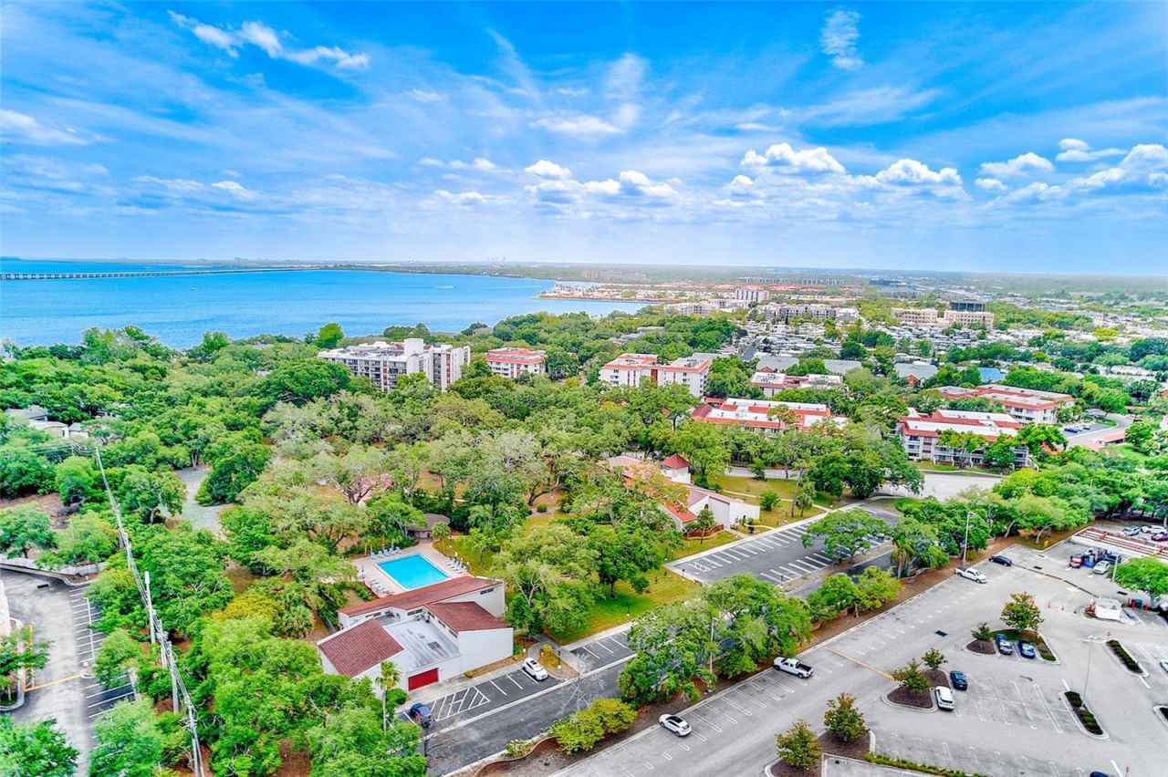 2612 Pearce Drive, Unit 209, Clearwater, FL 33764 Photo