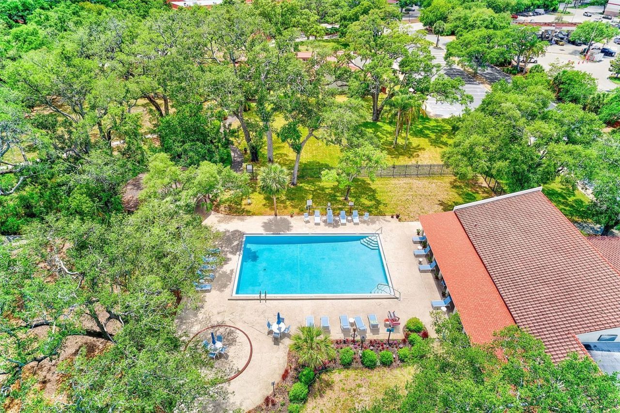 2612 Pearce Drive, Unit 209, Clearwater, FL 33764 Photo