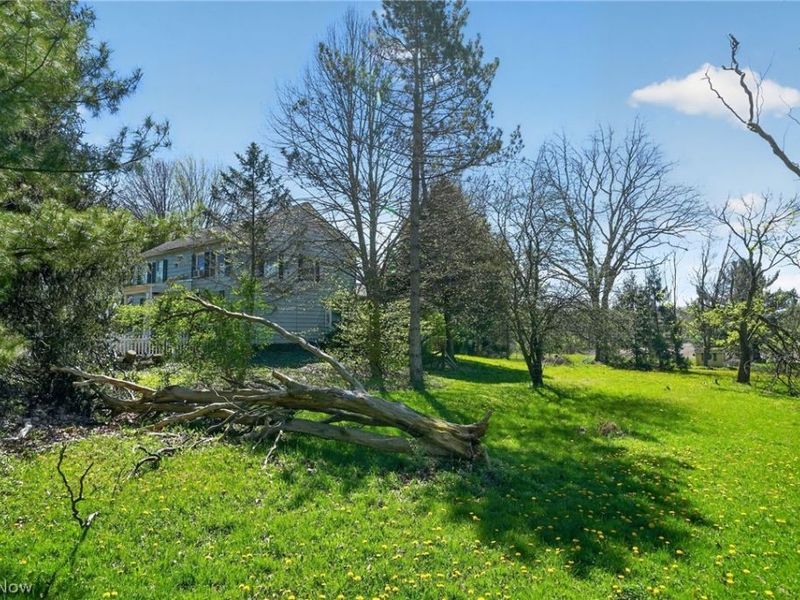 1650 Granger Road , Medina, OH 44256 Photo 4