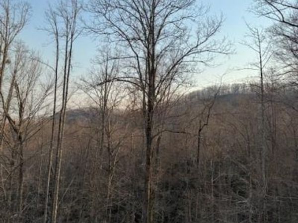 910 Morgan Hill Road, Black Mountain, NC 28711