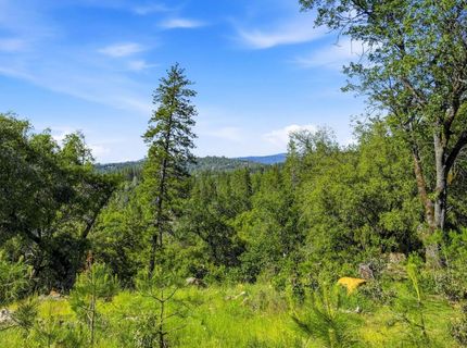 Bear Canyon Ct, Meadow Vista, CA 95722 Photo