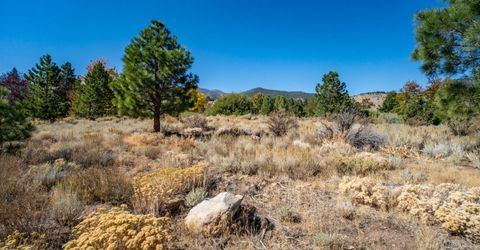 5685 Alpinista Circle, Reno, NV 89511 Photo