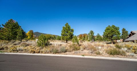 5685 Alpinista Circle, Reno, NV 89511 Photo