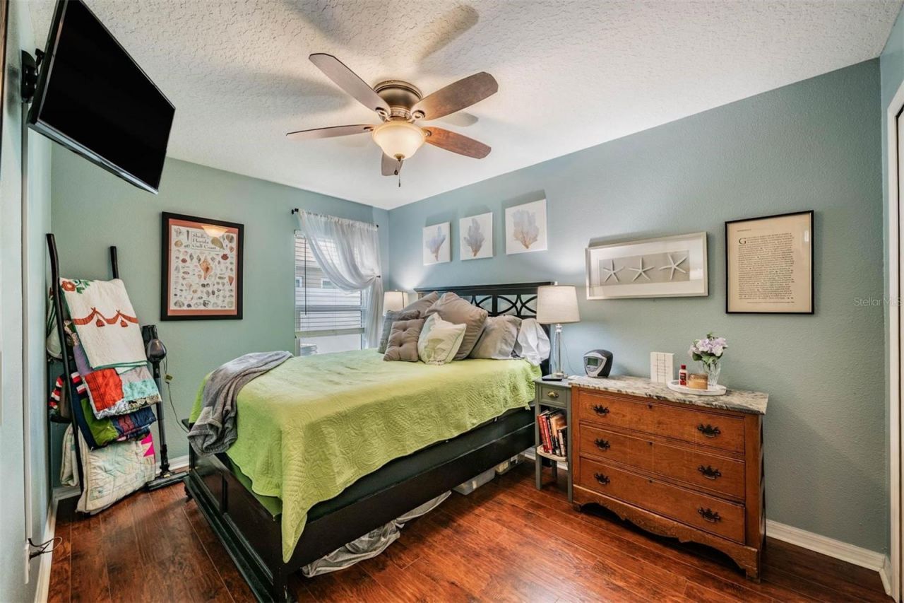 1686 Oak Spring Drive, Tarpon Springs, FL 34689 Photo