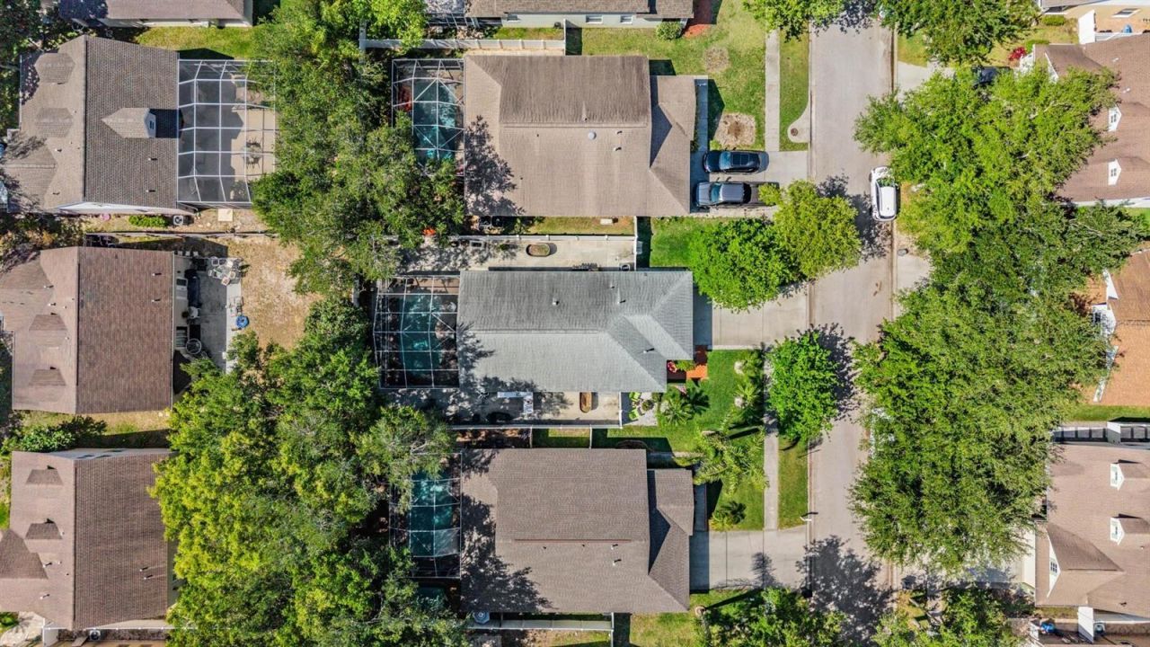 1686 Oak Spring Drive, Tarpon Springs, FL 34689 Photo