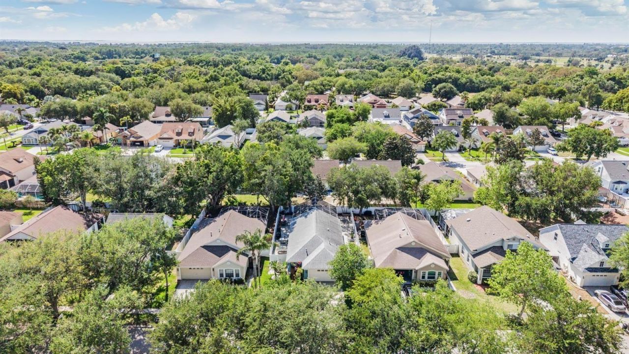 1686 Oak Spring Drive, Tarpon Springs, FL 34689 Photo