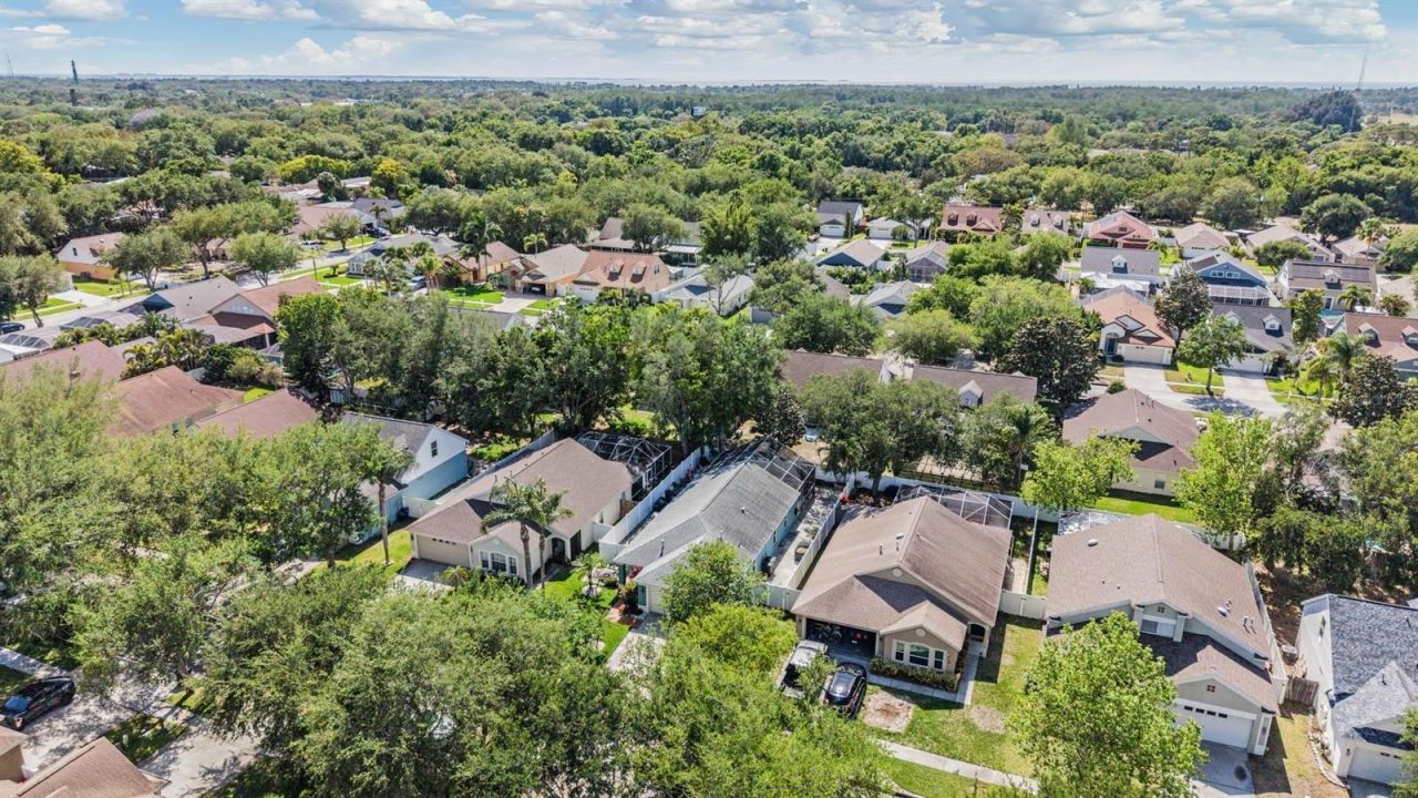 1686 Oak Spring Drive, Tarpon Springs, FL 34689 Photo