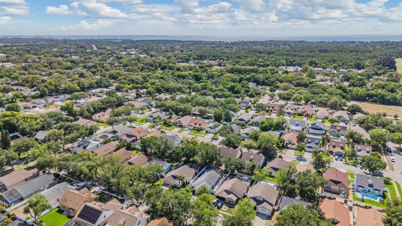 1686 Oak Spring Drive, Tarpon Springs, FL 34689 Photo