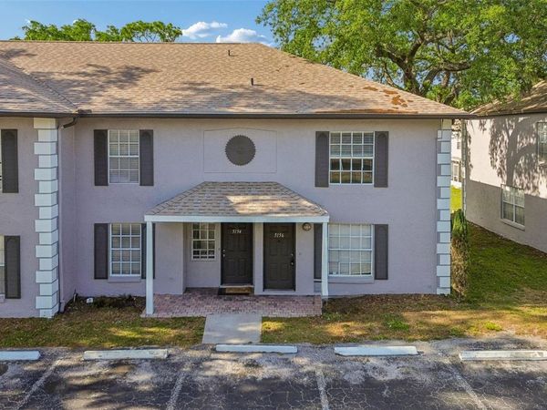 5156 SUNRIDGE PALMS DRIVE , TAMPA, FL 33617