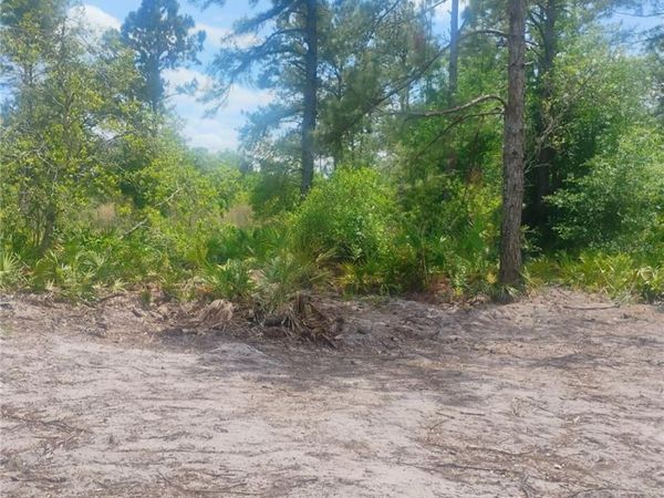 PARK FOREST BOULEVARD , MOUNT DORA, FL 32757