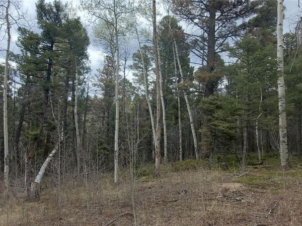 Lot 6090 Vreeland Road , San Luis, CO 81152