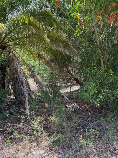 15870 Quail Trl, Bokeelia, FL 33922 Photo