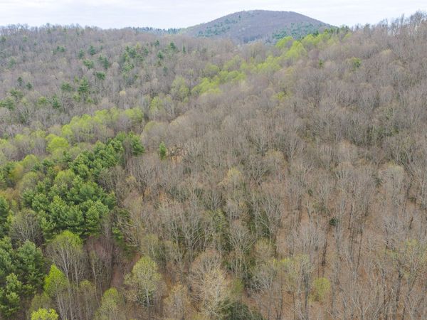 TBD Cox Store RD SW, Floyd, VA 24091