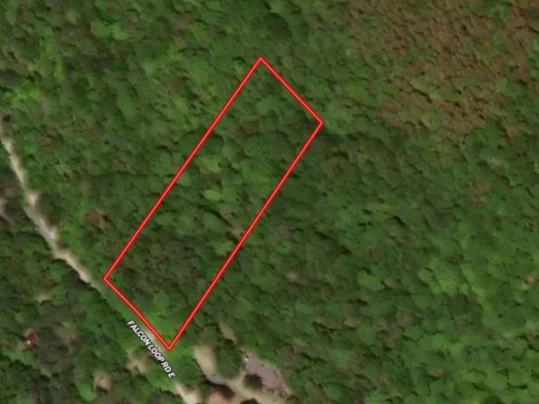 223 Falcon Loop Rd E, Rochester, VT 05767