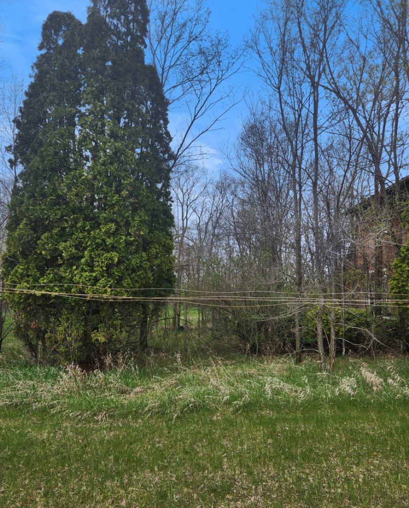 7806 Wilmot Road, Erie, IL 61250 Main Photo