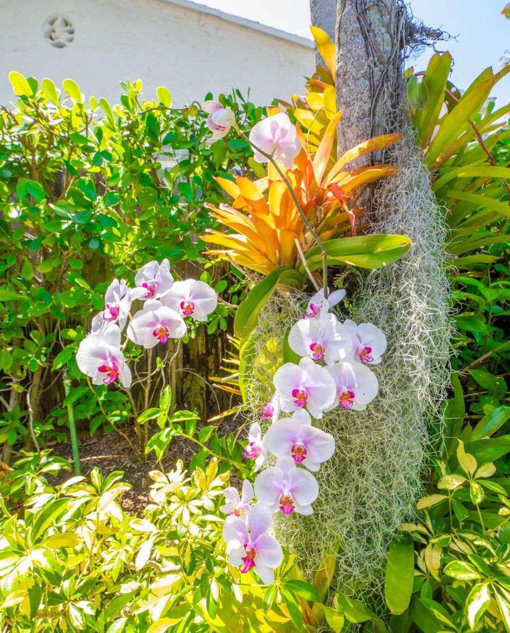 1635 NE 5th Court, Unit C, Fort Lauderdale, FL 33301 Photo