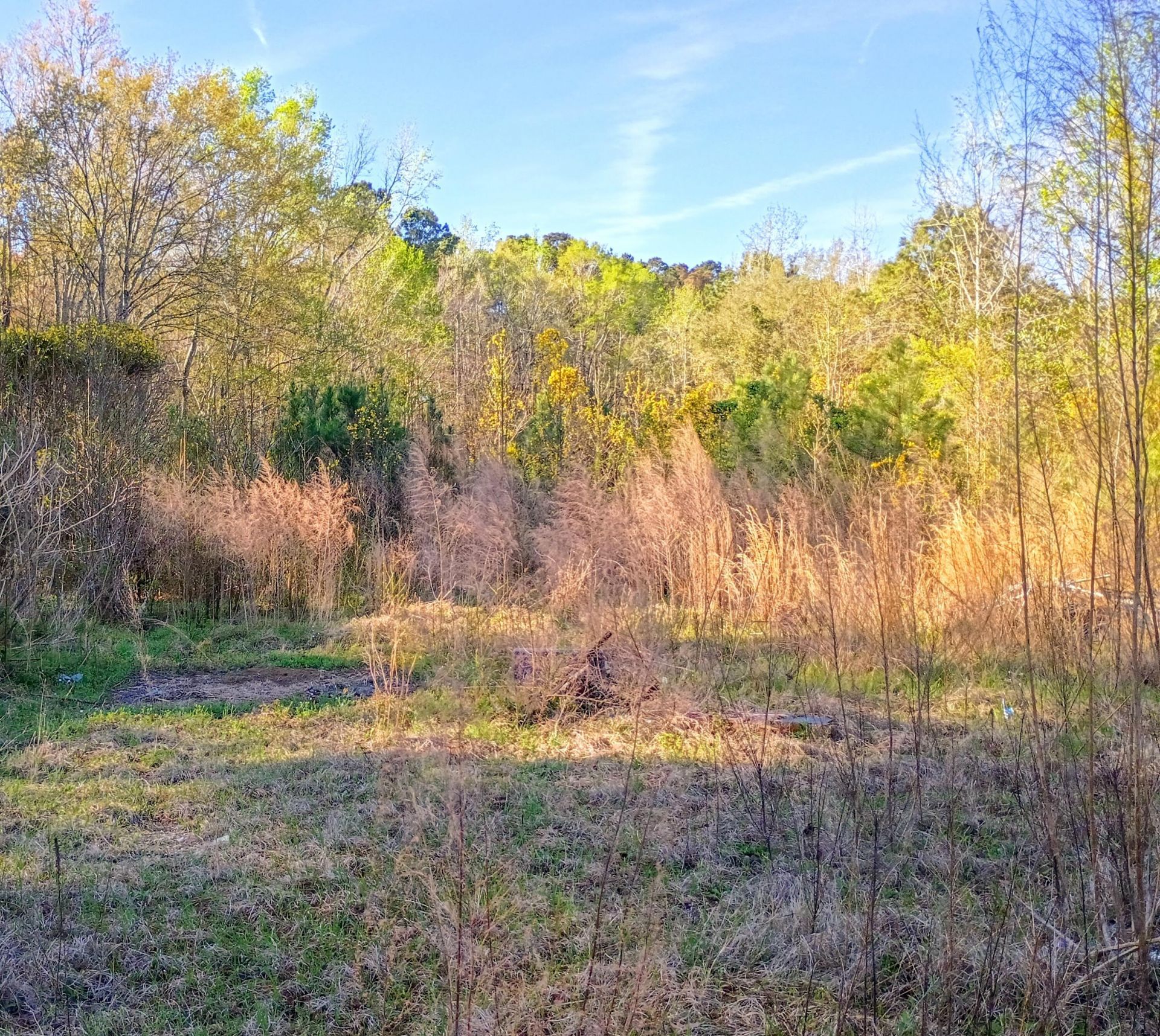 67 Cone Court Photo 1