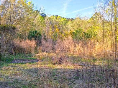 67 Cone Court, Cottageville, SC 29435