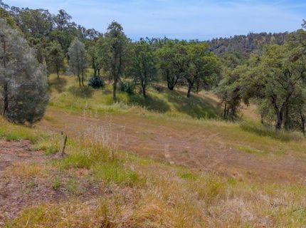 3222 Hormiga Ct, Coulterville, CA 95311 Photo