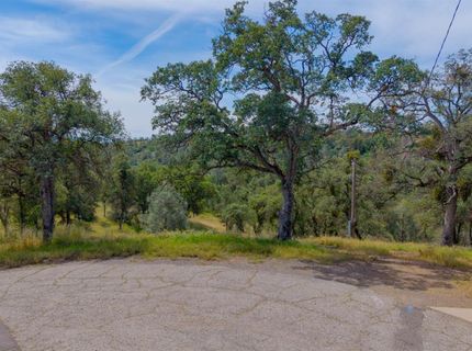 3222 Hormiga Ct, Coulterville, CA 95311 Photo