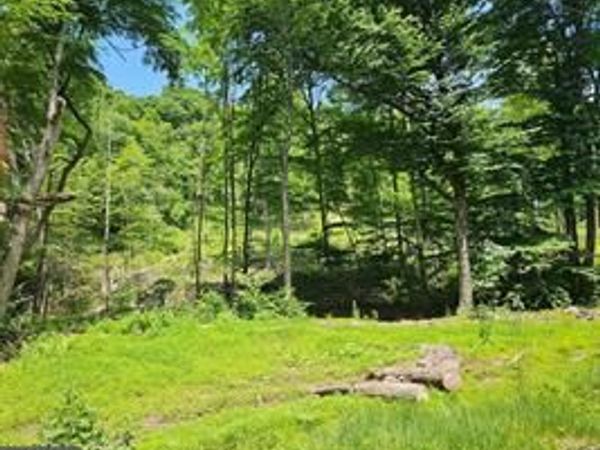 TIGER VALLEY ROAD , HYNDMAN, PA 15545