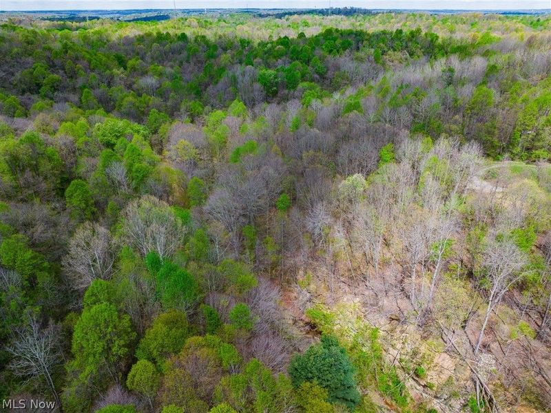 Dennis Road , Zanesville, OH 43701 Photo 27