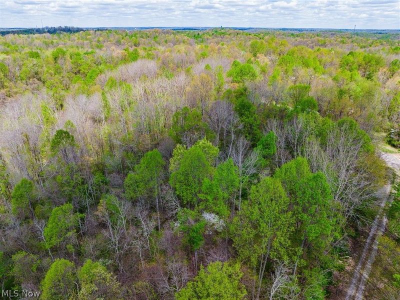 Dennis Road , Zanesville, OH 43701 Photo 30