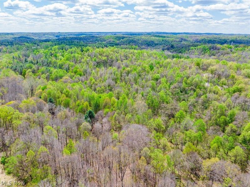 Dennis Road , Zanesville, OH 43701 Photo 37