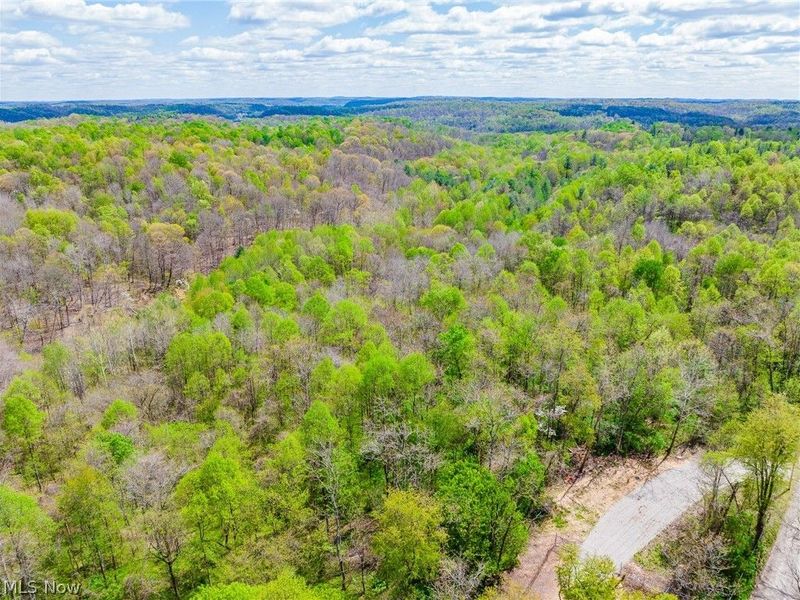 Dennis Road , Zanesville, OH 43701 Photo 39