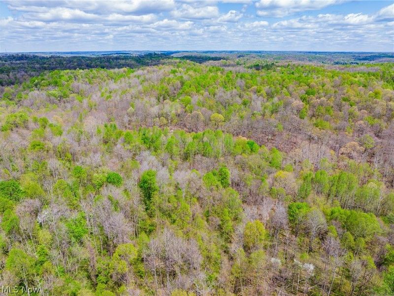 Dennis Road , Zanesville, OH 43701 Photo 40