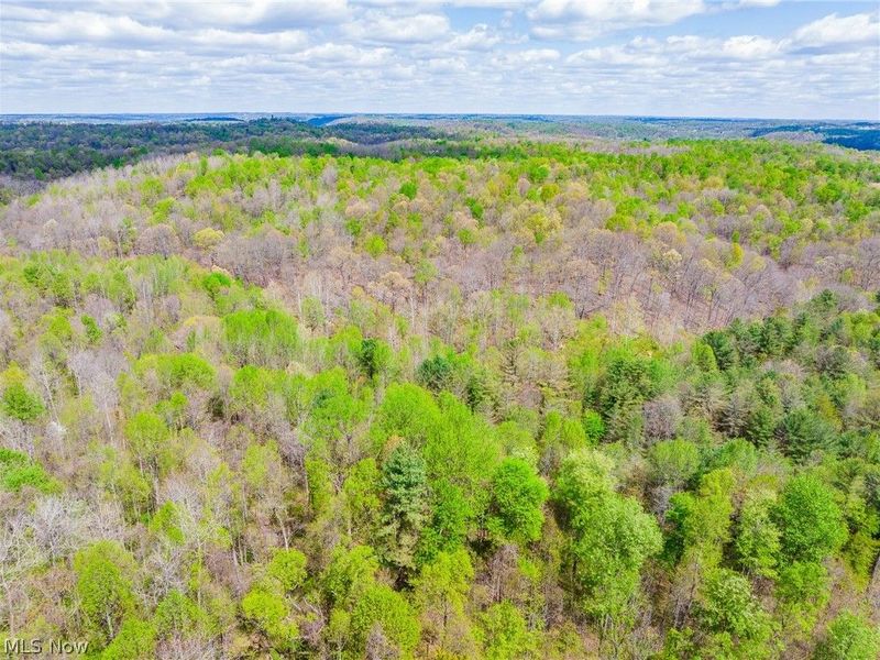 Dennis Road , Zanesville, OH 43701 Photo 41