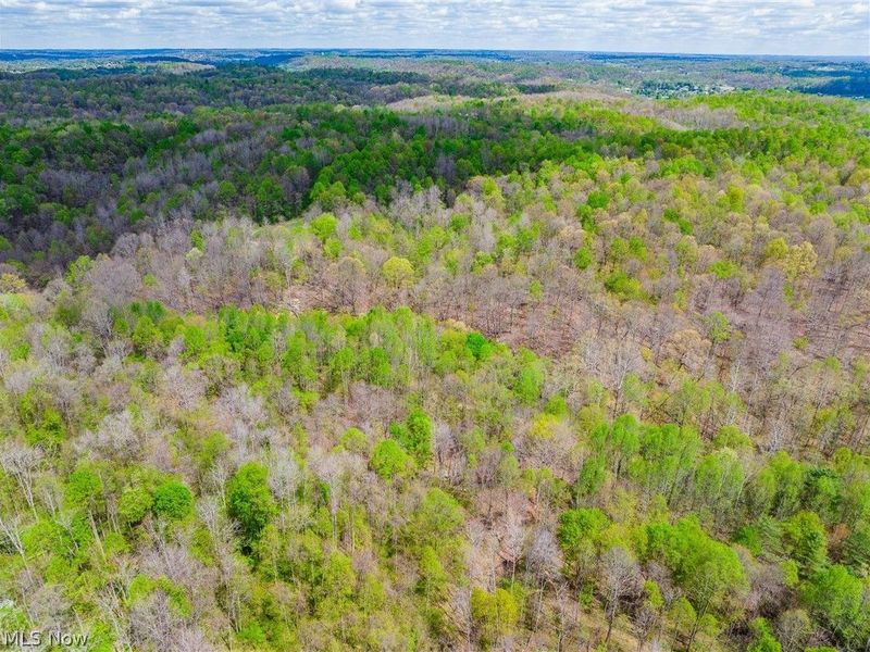 Dennis Road , Zanesville, OH 43701 Photo 44