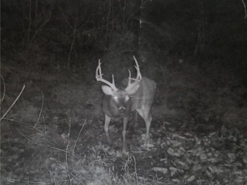 Dennis Road , Zanesville, OH 43701 Photo 6