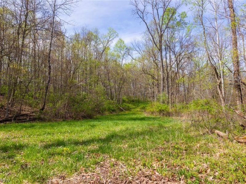 US Route 36, Warsaw, OH 43844 Photo 10