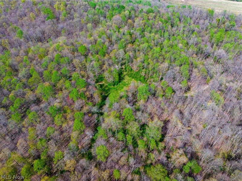 US Route 36, Warsaw, OH 43844 Photo 12