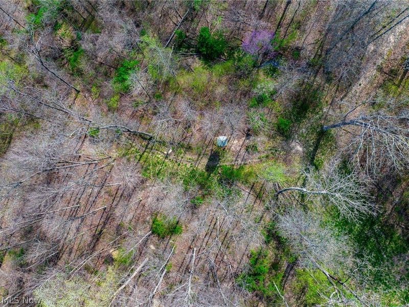 US Route 36, Warsaw, OH 43844 Photo 13