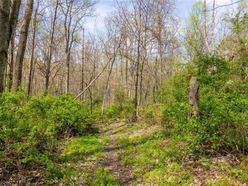 US Route 36, Warsaw, OH 43844 Photo 18