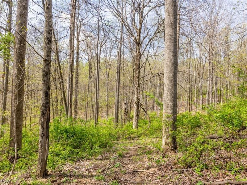 US Route 36, Warsaw, OH 43844 Photo 19