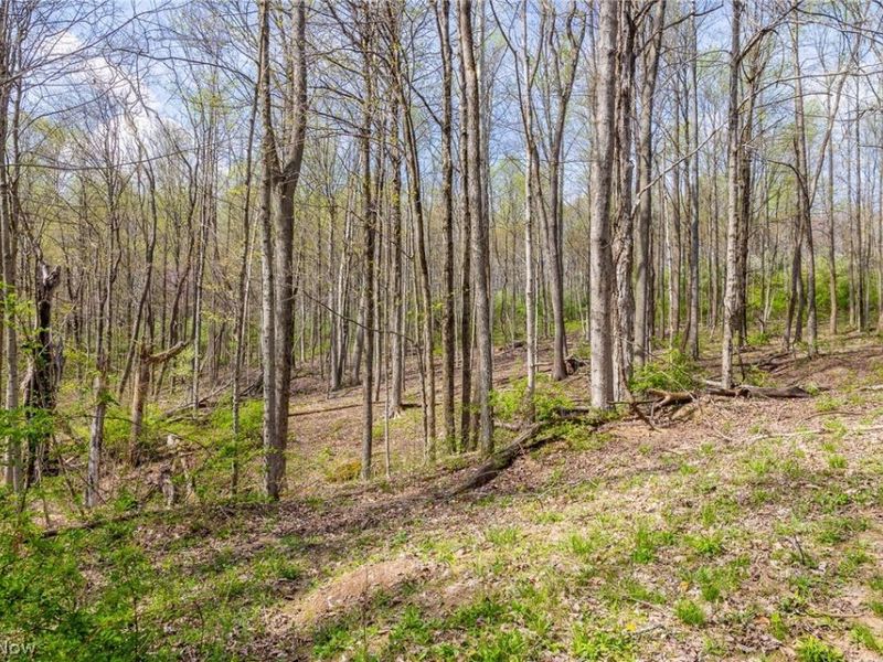 US Route 36, Warsaw, OH 43844 Photo 20