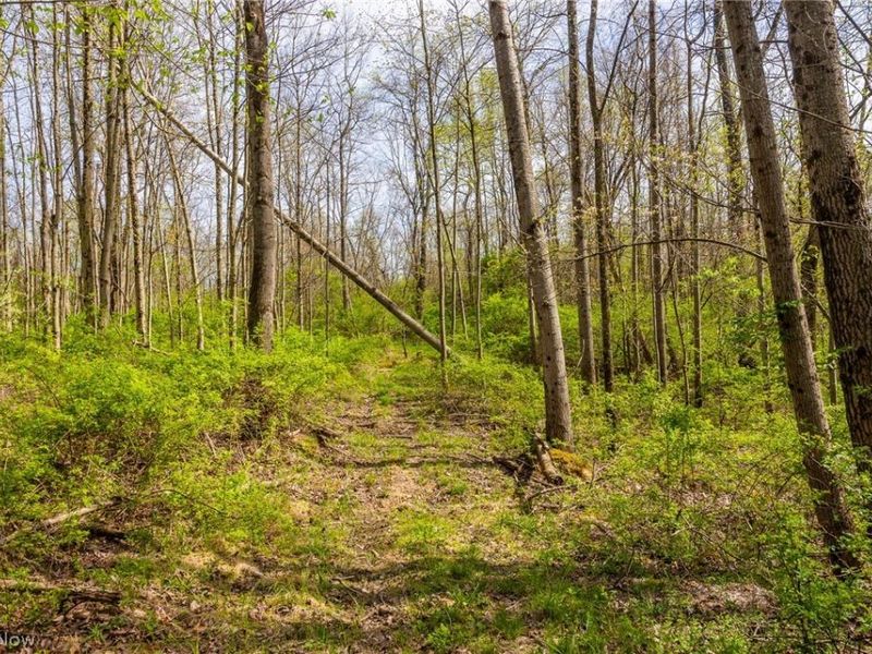 US Route 36, Warsaw, OH 43844 Photo 21