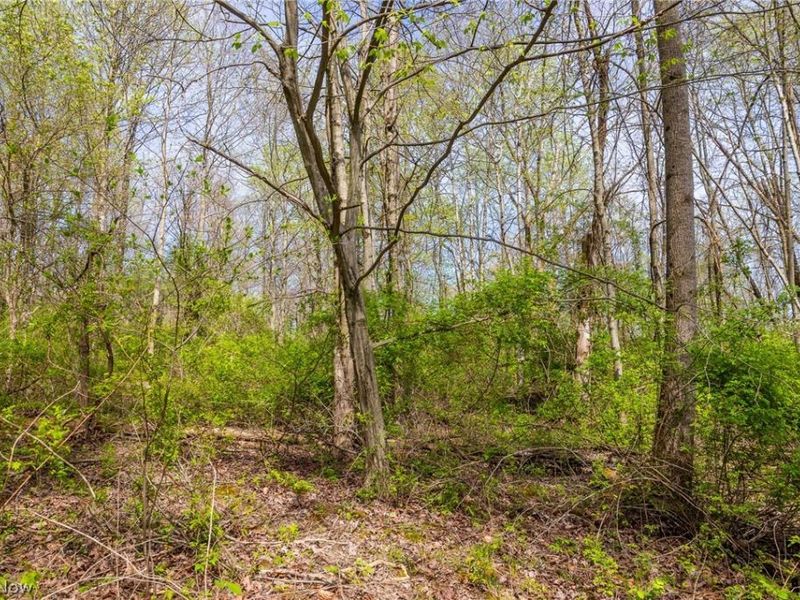 US Route 36, Warsaw, OH 43844 Photo 22