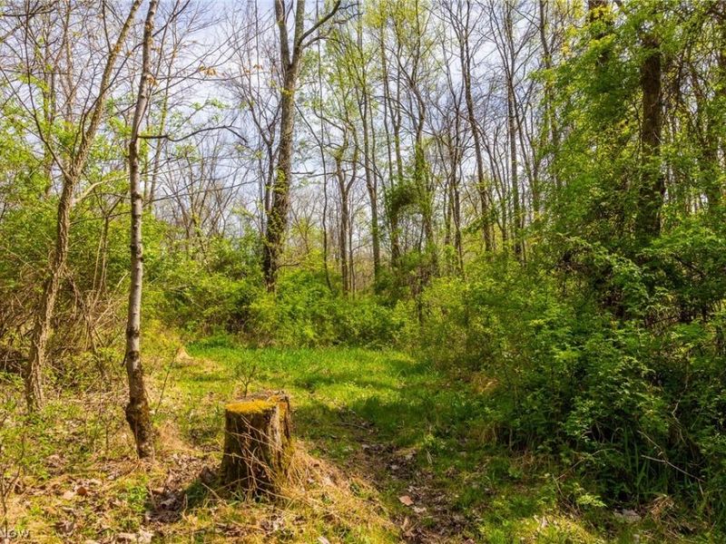 US Route 36, Warsaw, OH 43844 Photo 23