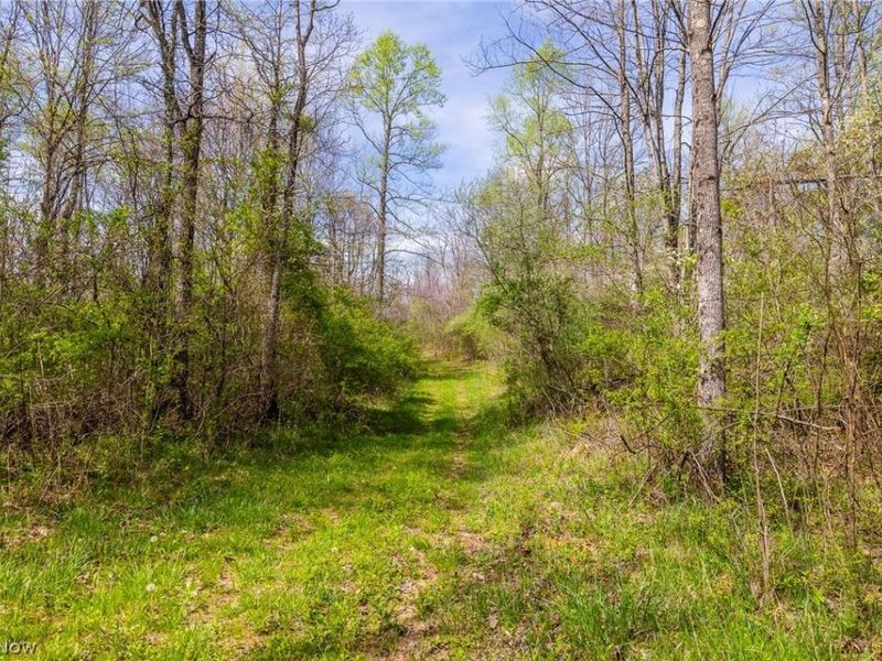 US Route 36, Warsaw, OH 43844 Photo 27