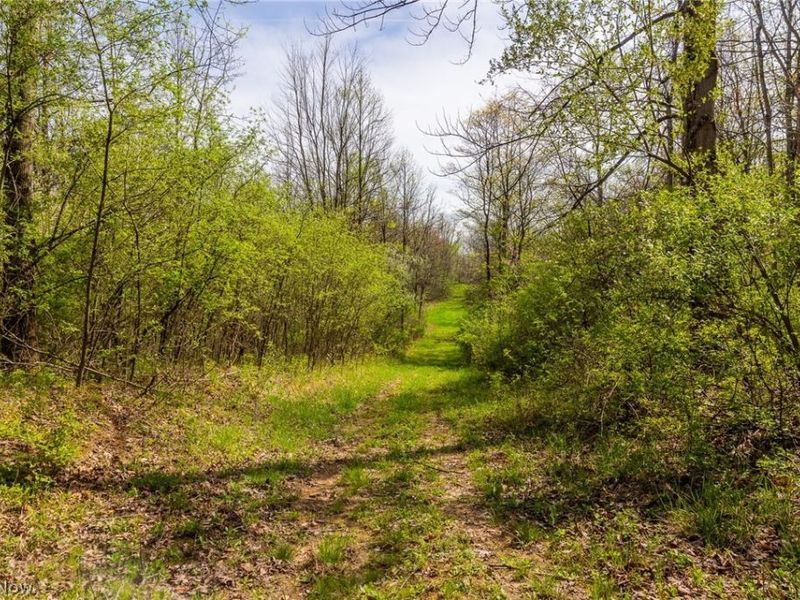 US Route 36, Warsaw, OH 43844 Photo 28