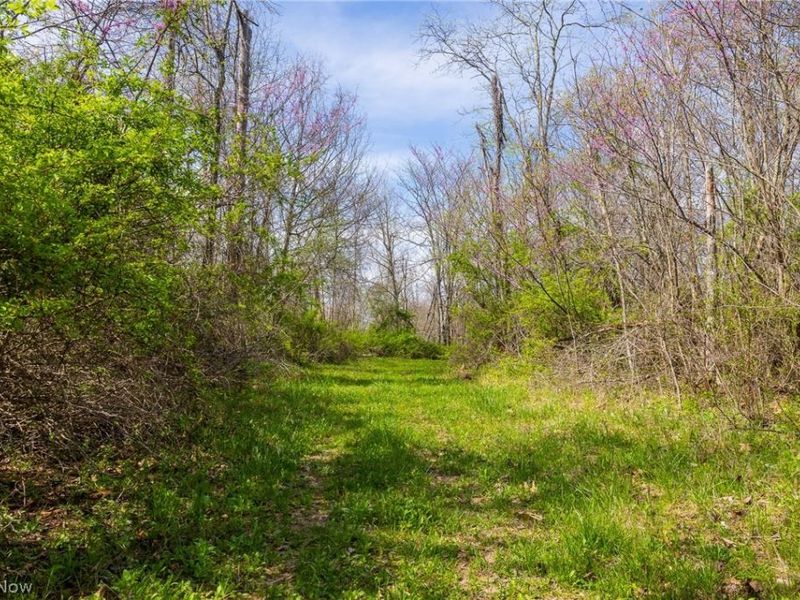 US Route 36, Warsaw, OH 43844 Photo 29