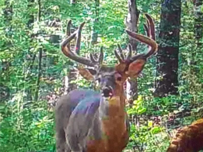 US Route 36, Warsaw, OH 43844 Photo 3