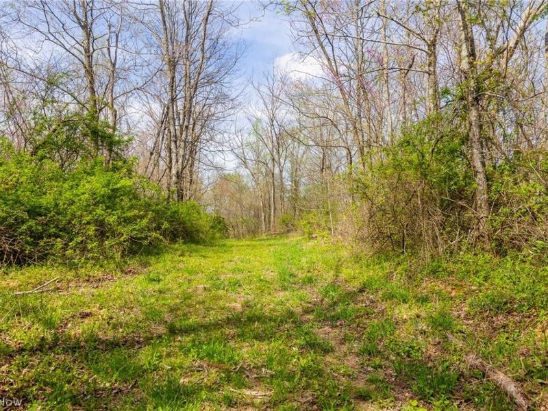 US Route 36, Warsaw, OH 43844 Photo 30