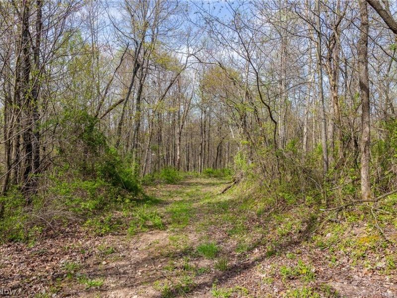 US Route 36, Warsaw, OH 43844 Photo 31